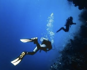 Scuba Diving At Havelock Island